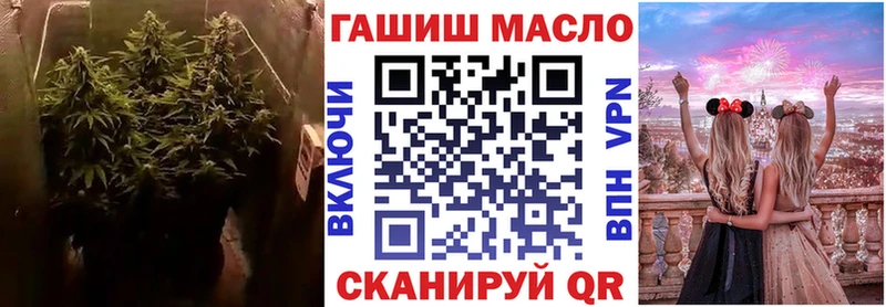 Дистиллят ТГК THC oil  где продают наркотики  kraken ссылки  Киреевск 