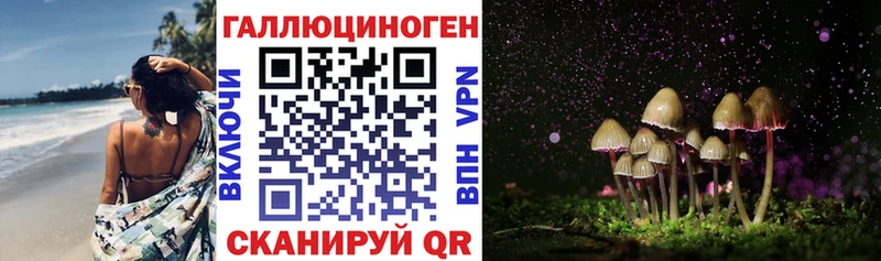 Галлюциногенные грибы Psilocybe  хочу наркоту  Киреевск 